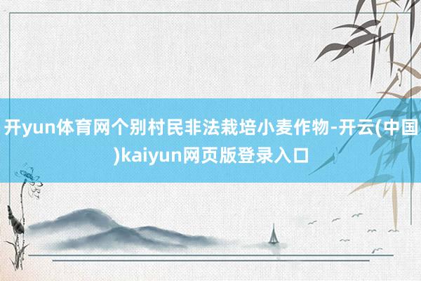 开yun体育网个别村民非法栽培小麦作物-开云(中国)kaiyun网页版登录入口