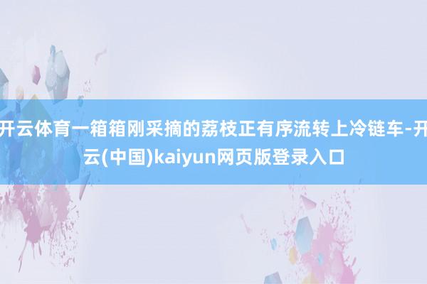 开云体育一箱箱刚采摘的荔枝正有序流转上冷链车-开云(中国)kaiyun网页版登录入口