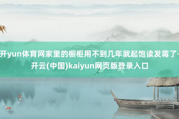 开yun体育网家里的橱柜用不到几年就起饱读发霉了-开云(中国)kaiyun网页版登录入口